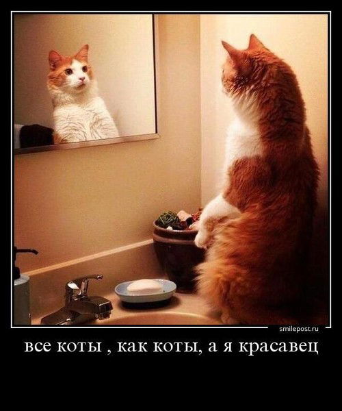 Сергей Сергеев