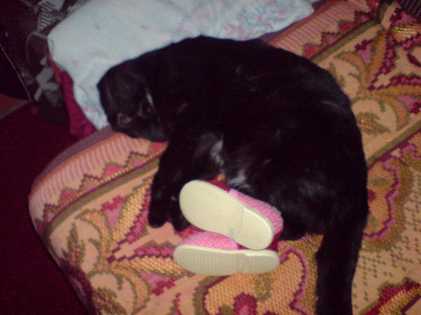 Дмитрий Ваганов