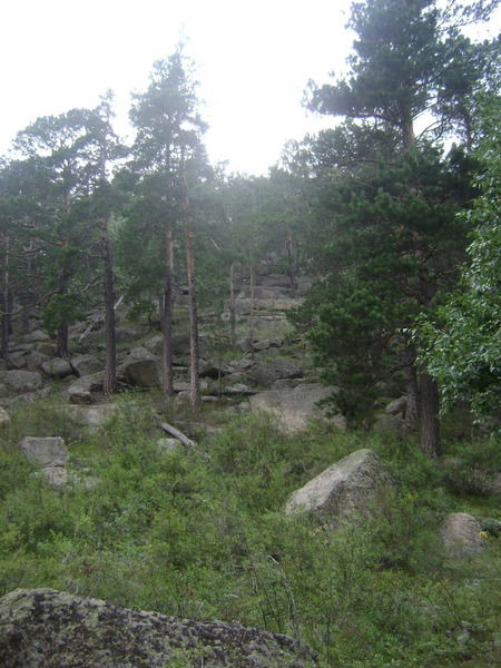 Камила Роза Кулсейтова