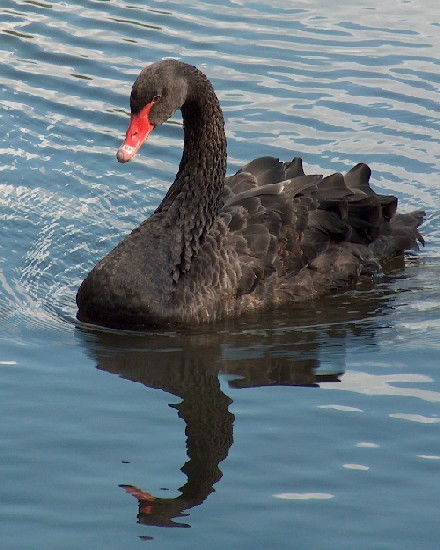 Анастасия Климова