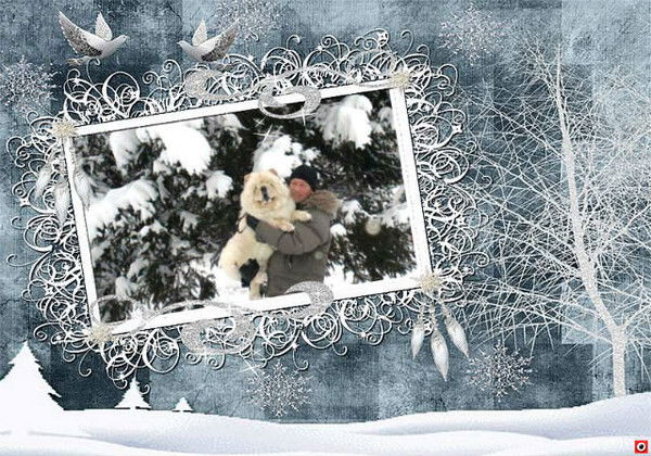 Сергей Богданов