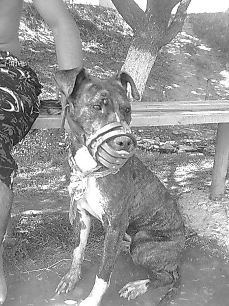 Нурик Каримов