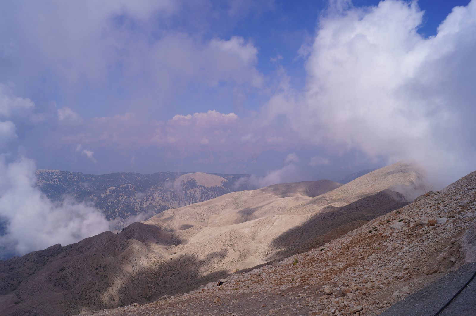 Ольга Ермилова