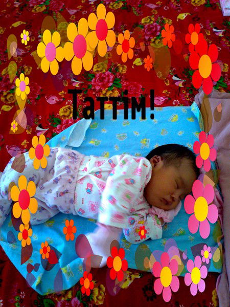 Талгатэльмира Сейтжановы