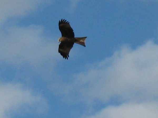 Владимир Крохичев