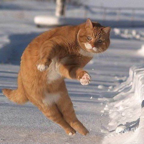 Эдгар Гаспарян