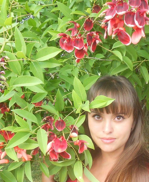 Елена Корюкова