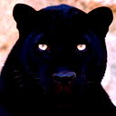 Наталья Петрунина