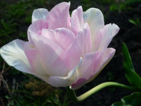 Равия Хазиева