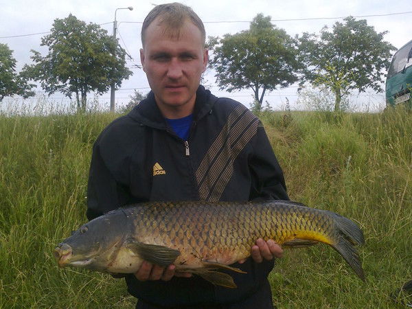 Максим Нехведович