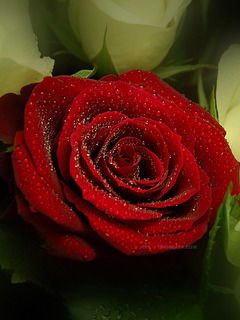 Айка Минбаева