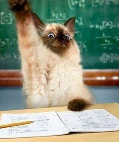 Дарья Андреева