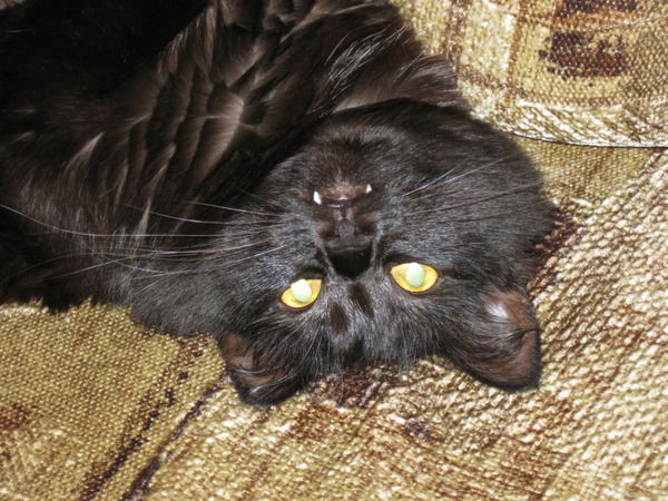 Вячеслав Ивнев