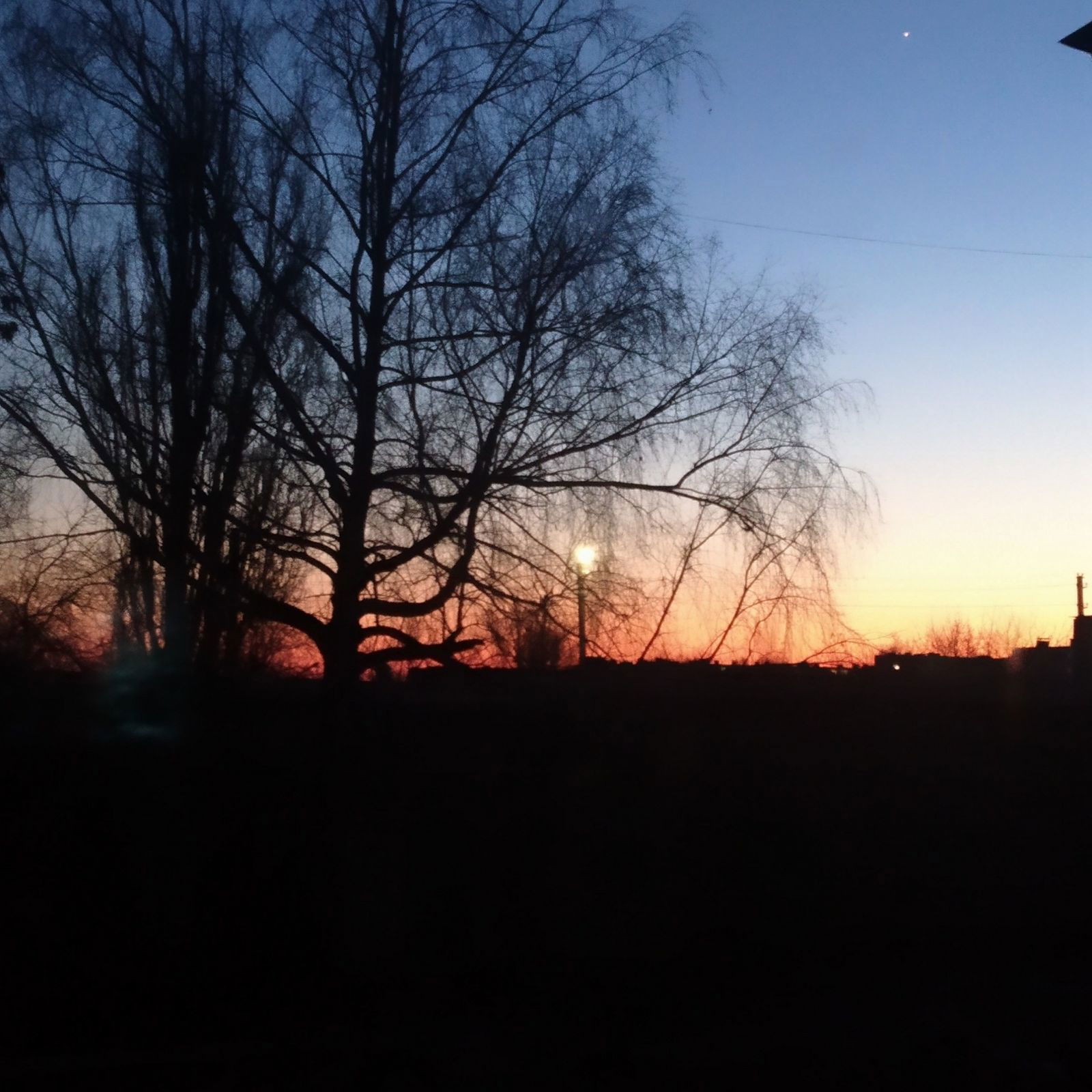 Анюта Рожкова