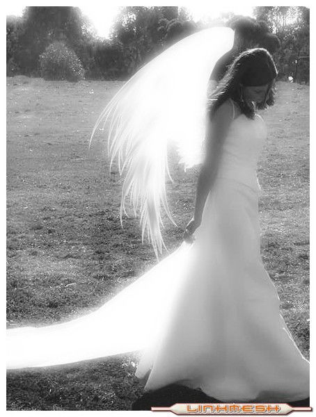 Белый Ангел