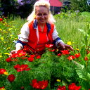 Lyudmila Karpets