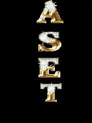 @ Асет @ Тургумбаев