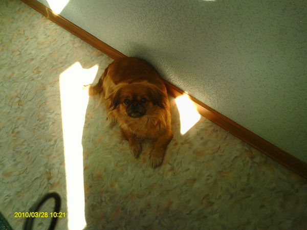 Саша Рыбков