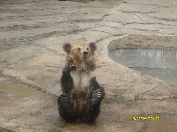 Стас Сидоров