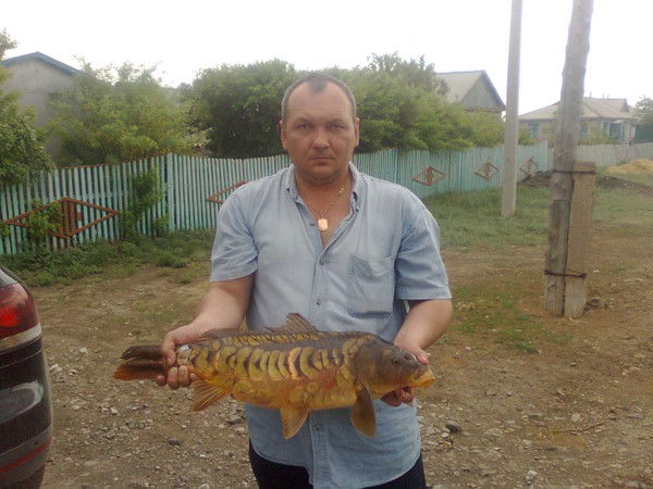 Алексей Бушман