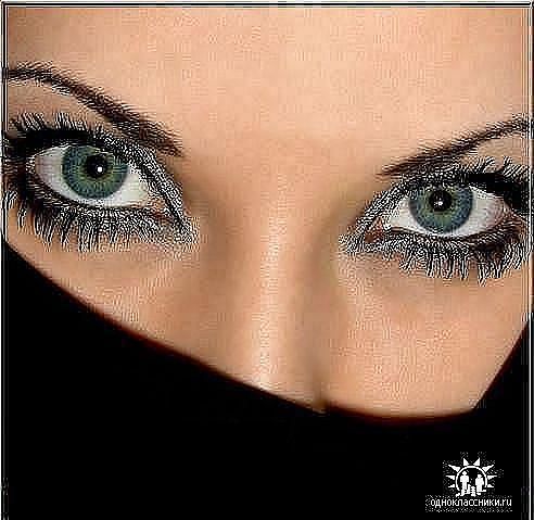 Надежда Мурашкина