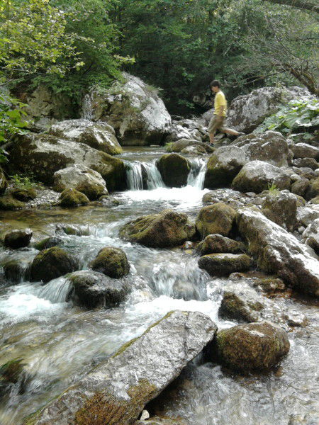 Валентина Jованович Шишова