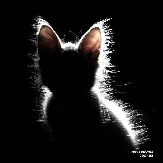 Юлия Жданова