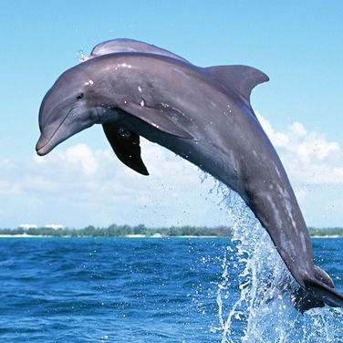 Нодирбек Муратов