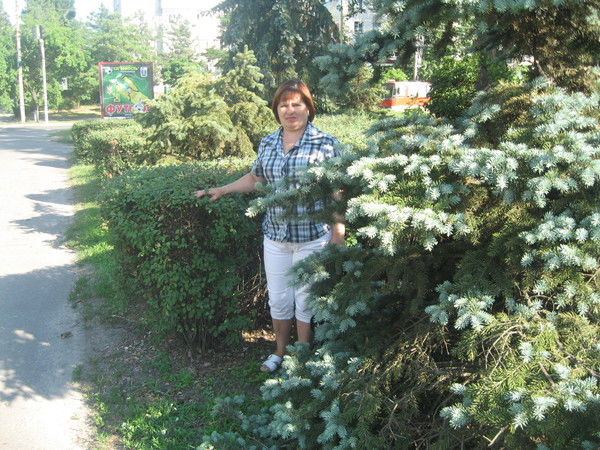 Света Желтова