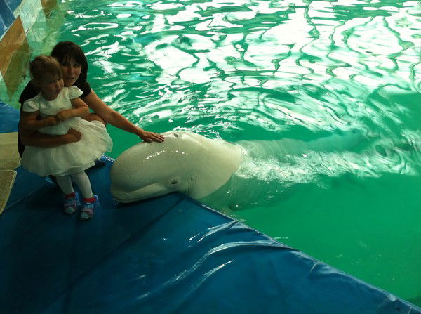 Якунина Натали