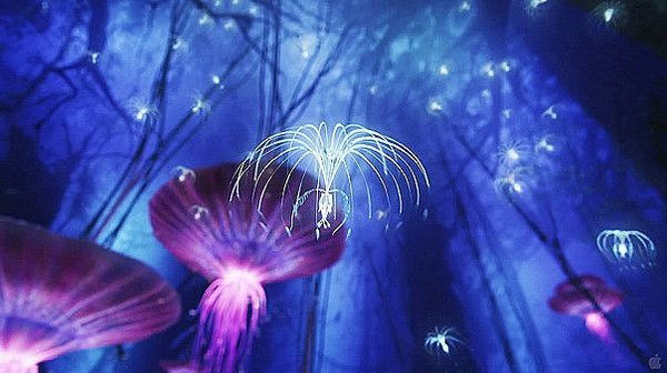 Ирина Курашенко