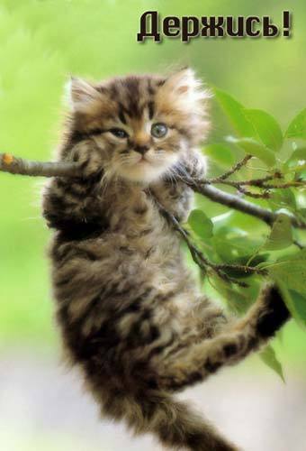 Василий Дымов