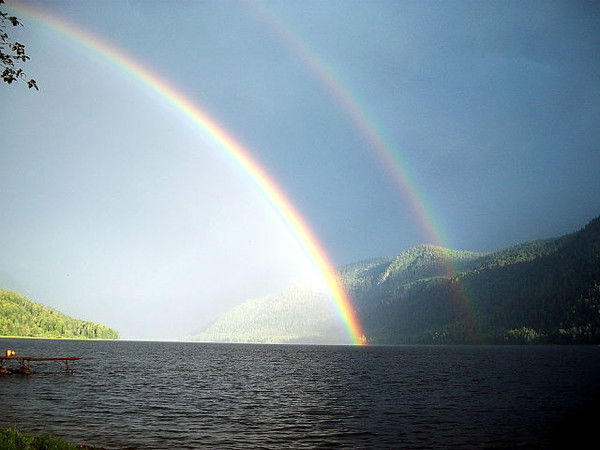 Александр Андреяшкин