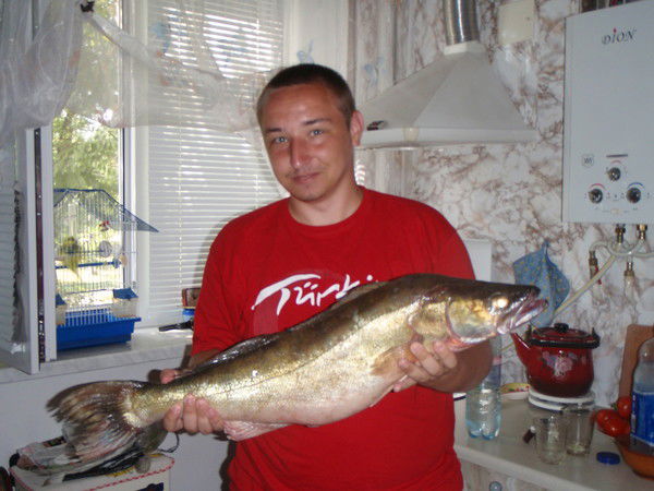 Дима Пацела