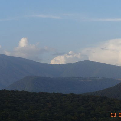 Галина Стуликова