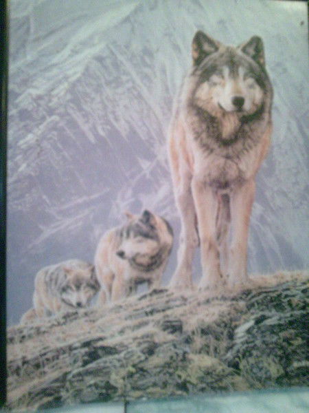 Ривкат Алимов