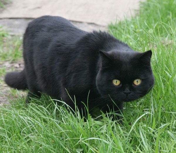 Юлия Филатова