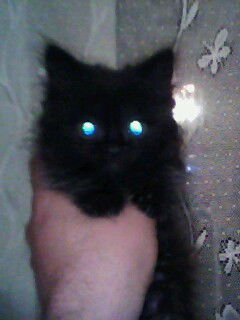 Евгений Борисович