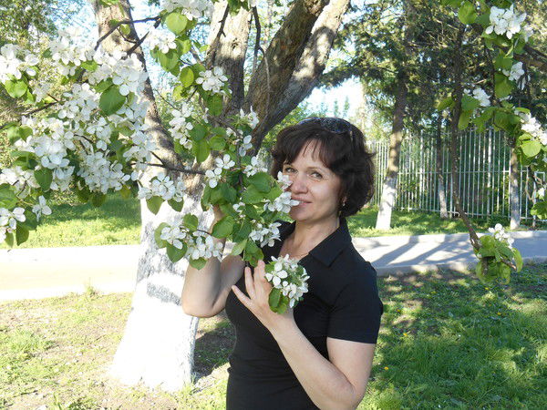 Елена Проценко