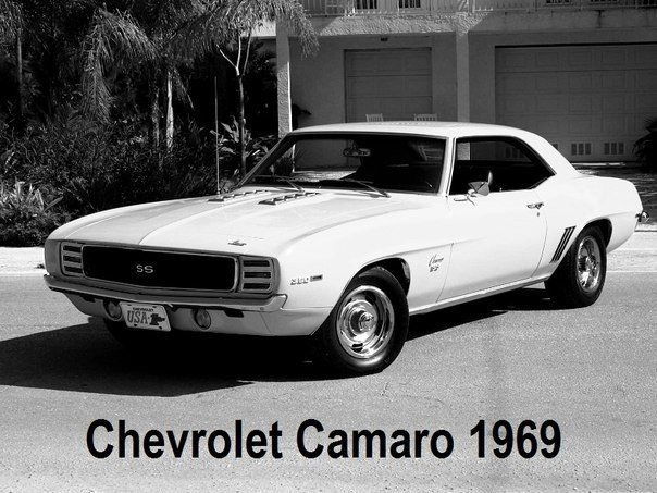 Павел Меркушев