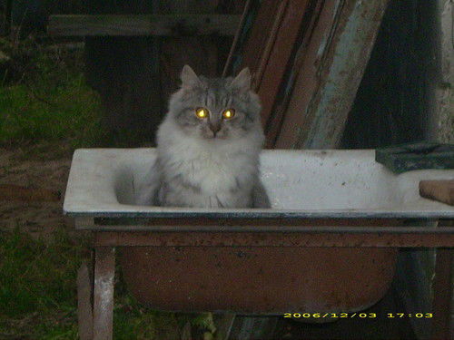 Андрей Науменко