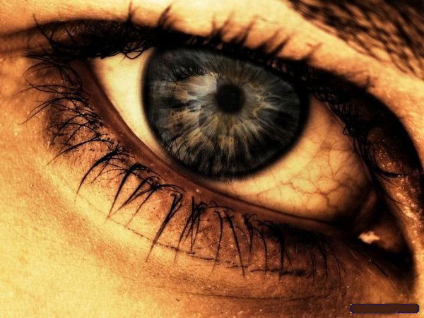 Елена Белоштанова