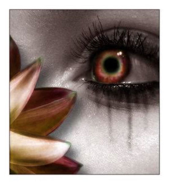 Надежда Попова