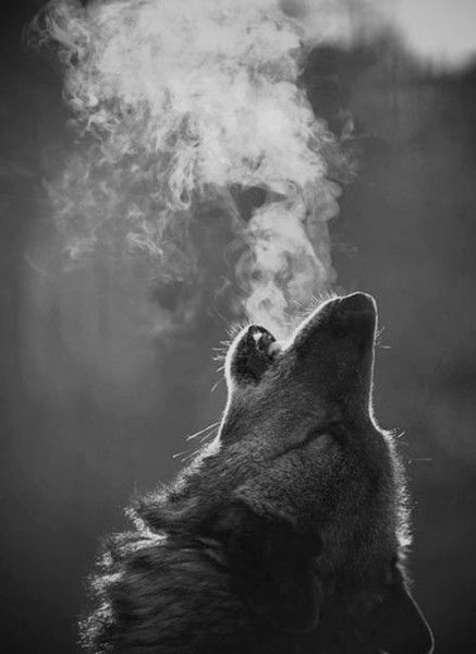 Жасулан Ильясов