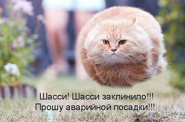 Владимир Дементьев