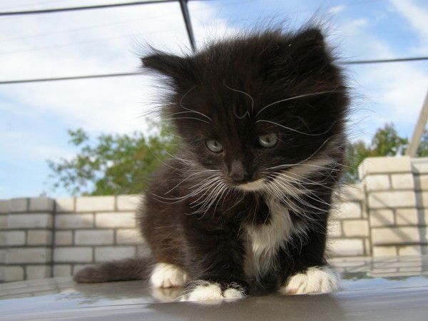 Ольга Крылосова