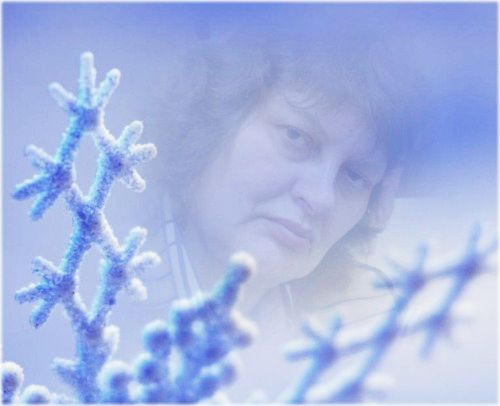 Наталья Климова