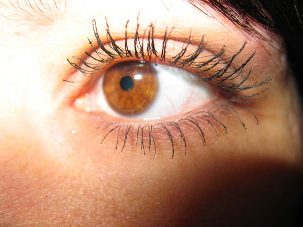 Фрикаделька .