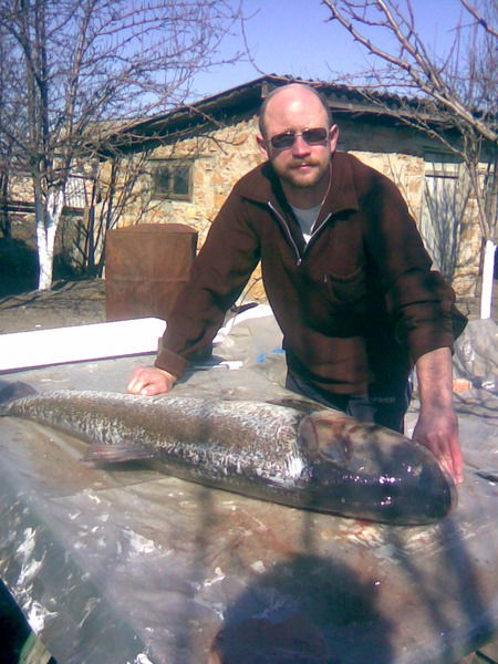 Алексей Панченко