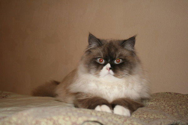 Руфина Плисецкая